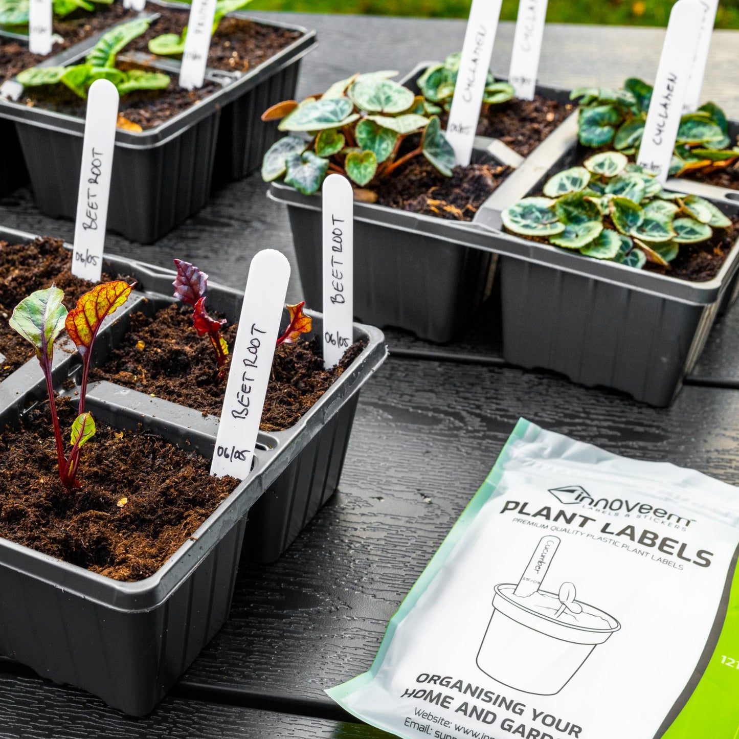 Plant Labels | Strong & Durable Plastic | Easy To Write Surfaces – Innoveem